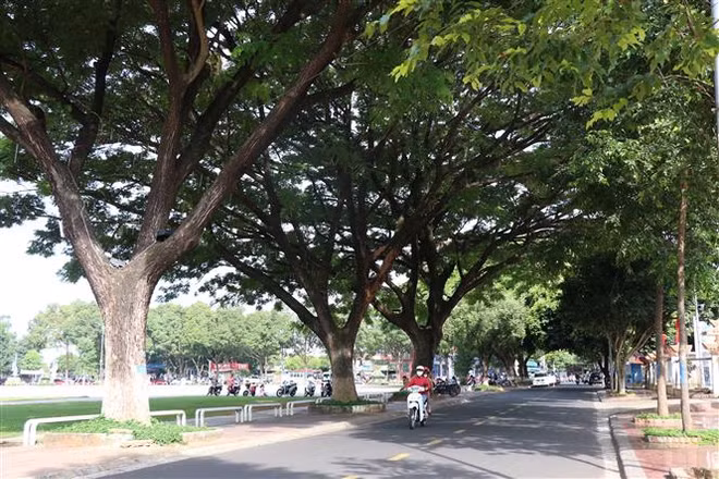 Ưu tiên ba nhiệm vụ chính để phát triển vùng Tây Nguyên ảnh 1