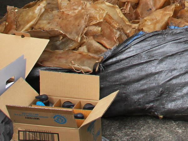 Bắt giữ hơn nửa tấn bì lợn ôi thiu chuẩn bị đưa đi tiêu thụ ảnh 1