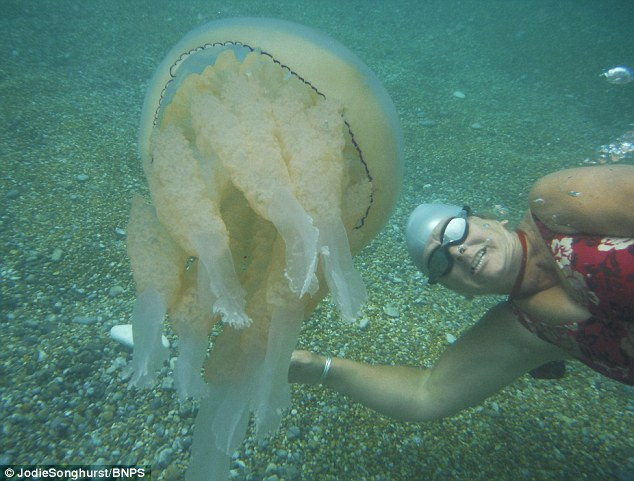 Người phụ nữ gan dạ chơi đùa cùng con sứa khổng lồ dưới biển ảnh 1