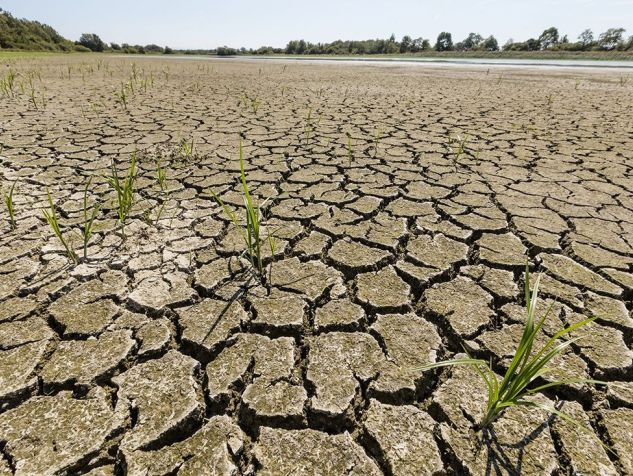 200 gương mặt nổi tiếng của Pháp kêu gọi chống biến đổi khí hậu ảnh 1