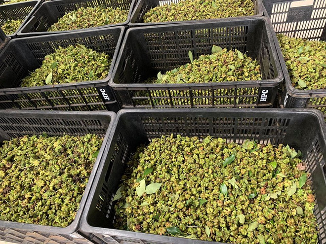 Doanh nghiệp cần làm gì để tránh bẫy ‘tất cả mọi thứ đều đang rẻ’? ảnh 3