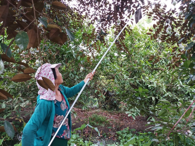 VCCI: Cần hỗ trợ doanh nghiệp như ứng phó với dịch COVID-19 ảnh 3