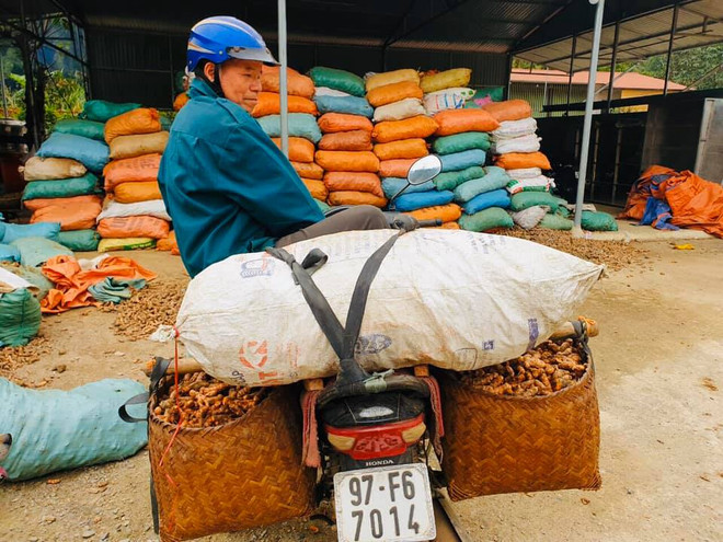 ​Khi nhà quản trị phải ''ôm đầu, bó gối'' trước ''con virus'' ảnh 2