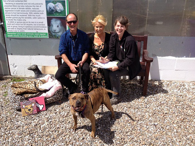 Michael Bay mời "cô chó cô đơn nhất thế giới" đóng Transformers 5 ảnh 3