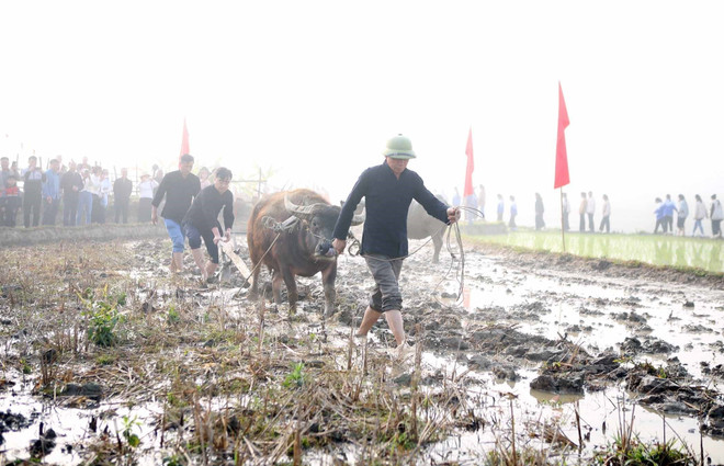 Đại diện lãnh đạo địa phương cùng người dân xuống đồng cày ruộng trong Lễ hội Lùng Tùng của dân tộc Thái ở huyện Than Uyên, tỉnh Lai Châu. (Ảnh: Quý Trung/ TTXVN) TTXVN_1902lehoilungtung2.jpg