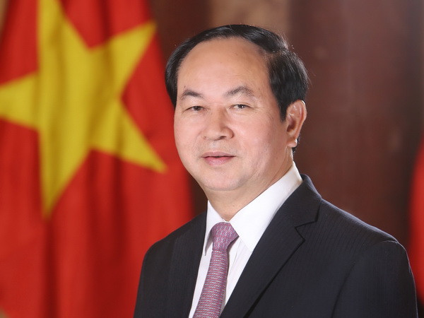 Chủ tịch nước Trần Đại Quang trả lời phỏng vấn báo chí Ai Cập ảnh 1