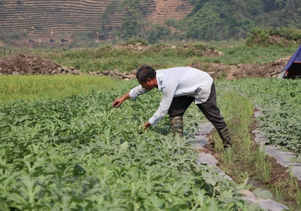 Điều kiện cấp giấy đăng ký hoạt động tổ chức phi chính phủ nước ngoài ảnh 2