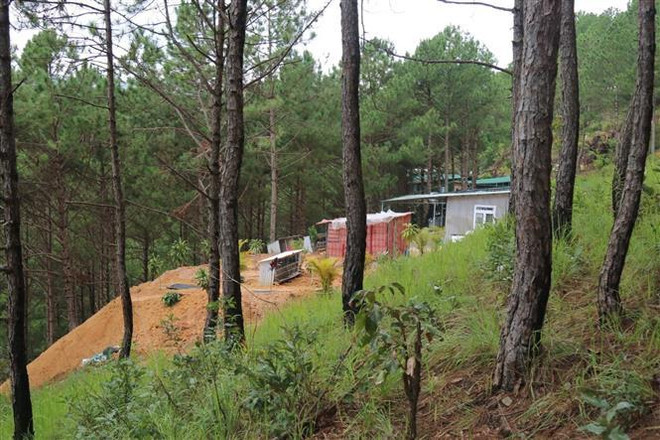 Giải tỏa khu vực bị phân lô bán đất rừng trái phép tại Đà Lạt ảnh 1