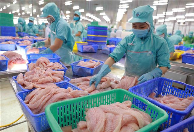 Nghị sỹ EP Jan Zahradil đánh giá cao vị thế của Việt Nam ảnh 1