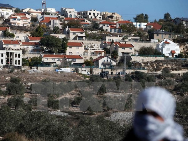 Sự kiện quốc tế từ 26/12/2016-1/1-2017: Xả súng đẫm máu tại Thổ Nhĩ Kỳ ảnh 4