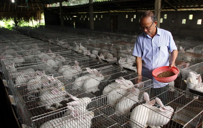 Sản xuất nông nghiệp công nghệ cao: Đào tạo nhân lực từ nông dân ảnh 1