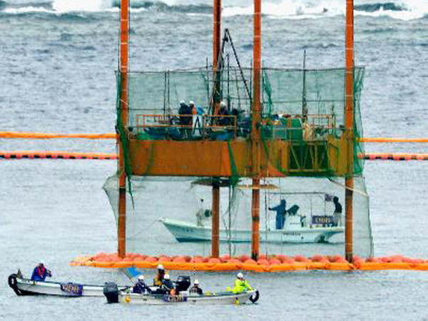 Chính phủ Nhật kiện chính quyền tỉnh Okinawa liên quan vụ Futenma ảnh 1