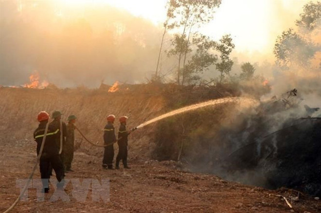 Thủ tướng Chính phủ yêu cầu cấp bách phòng cháy, chữa cháy rừng ảnh 1