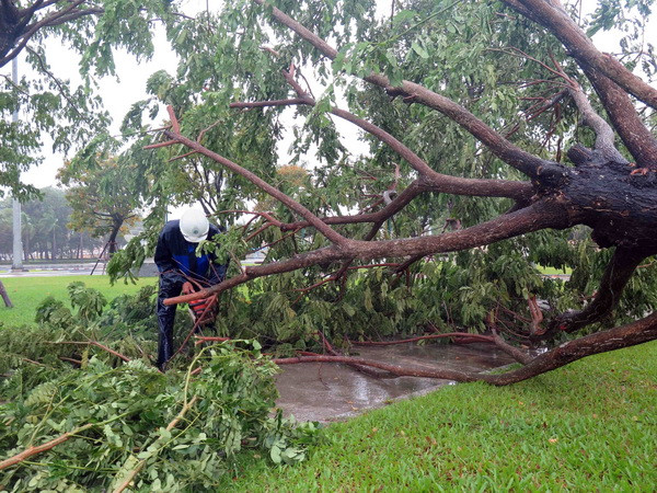 Hoãn trận đấu giữa Quảng Nam FC và Than Quảng Ninh vì bão số 12 ảnh 1