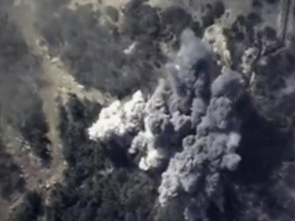 Hơn 70% người Anh hoan nghênh các hoạt động của Nga ở Syria ảnh 1