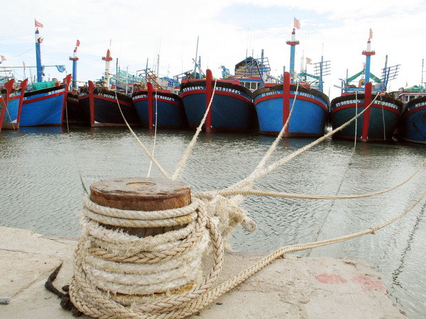 Chủ động, ứng phó kịp thời các tình huống về thiên tai, sự cố ảnh 1