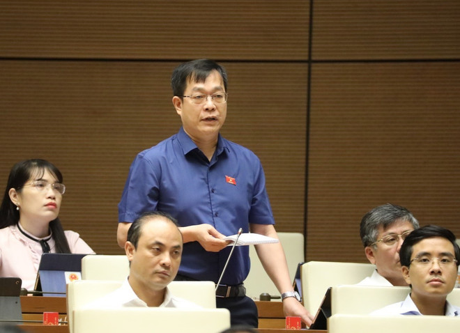 Đại biểu Quốc hội: Đặt dân chủ làm xung lực phát triển kinh tế-xã hội ảnh 1