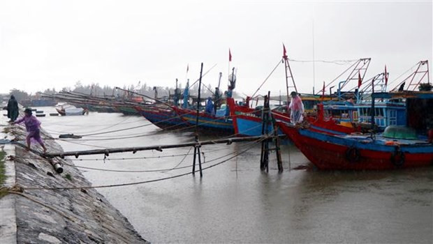 Quảng Ngãi hướng dẫn cho hai tàu ở vùng nguy hiểm vào nơi an toàn ảnh 1