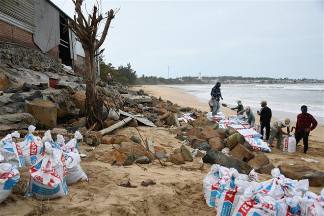 Bão số 9 đổ bộ: Quảng Ngãi có 1 người chết khi chằng chống nhà cửa ảnh 1