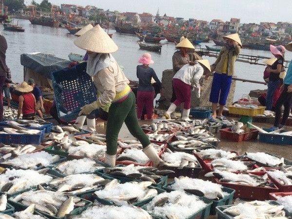 Thanh Hóa phản hồi về các vụ vi phạm môi trường xảy ra liên tiếp ảnh 1