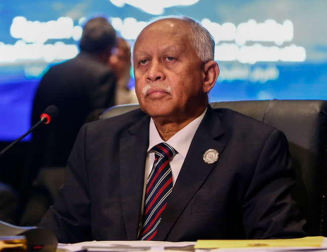 Yemen kêu gọi các nước Arập đưa quân tới giải cứu đất nước ảnh 1