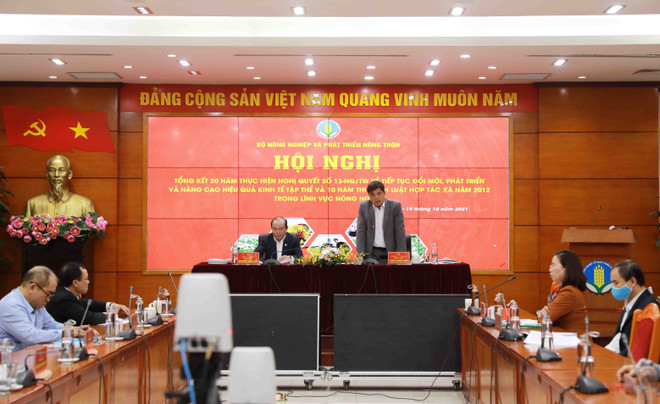 Bộ trưởng Lê Minh Hoan: Phát triển hợp tác xã, tạo sức mạnh đa chiều ảnh 1