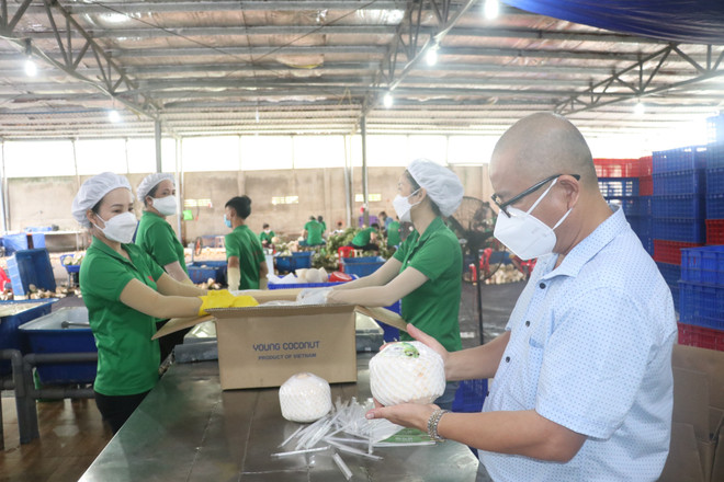 ĐBSCL khôi phục sản xuất: Doanh nghiệp thích ứng tình hình mới ảnh 1