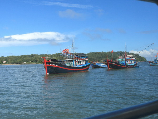 Việt Nam tham dự phiên họp Liên hợp quốc về Đại dương và Luật biển ảnh 1