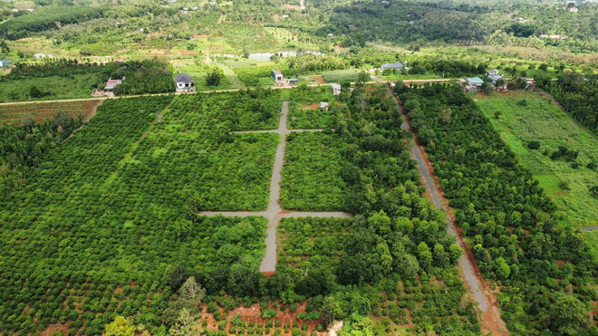 Mở đường, phân lô tại khu vực ven đường tránh trung tâm thành phố Gia Nghĩa, tỉnh Đắk Nông. (Ảnh: TTXVN phát) phan lo tai Dak Nong.jpg