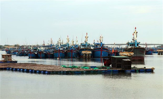 Ứng phó với bão số 4: Quản lý chặt chẽ các phương tiện ra khơi ảnh 1