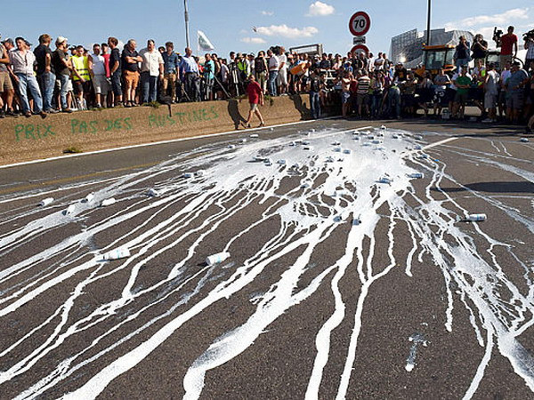 Báo chí Pháp "mổ xẻ" căn nguyên khủng hoảng giá thịt và sữa ảnh 1