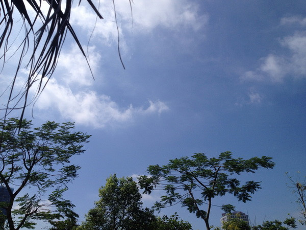 Các tỉnh miền Bắc đêm và sáng sớm se lạnh, ngày nắng hanh ảnh 1