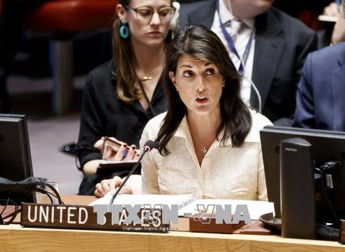 Đại sứ Mỹ tại Liên hợp quốc chỉ trích các tổ chức nhân quyền ảnh 1
