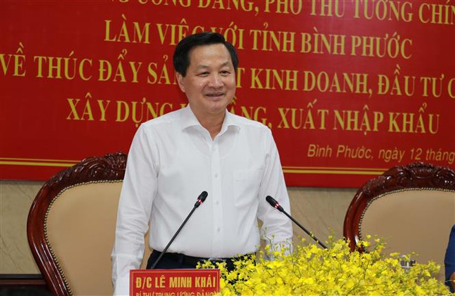 Phó Thủ tướng: Bình Phước cần có chiến lược dài hơi tạo nguồn nhân lực ảnh 1