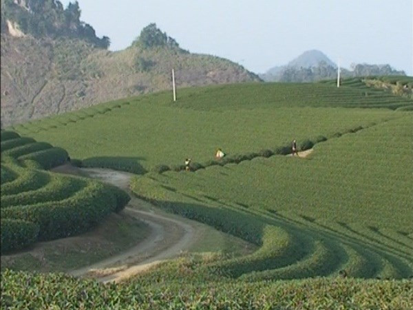 Khu du lịch quốc gia Mộc Châu: Điểm đến hấp dẫn vùng Tây Bắc ảnh 2