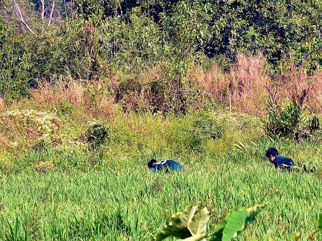 Công an TP.HCM: Lê Quốc Tuấn chống trả quyết liệt, bắn 3 phát đạn ảnh 1
