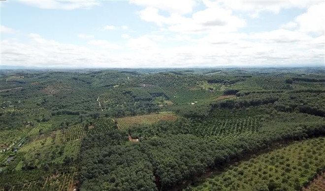 Thúc đẩy nhanh kết nối giao thông liên vùng Đông Nam Bộ ảnh 3