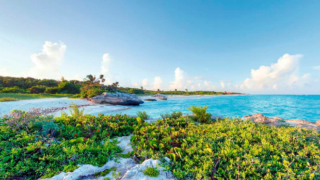 TP.HCM lọt tốp những địa điểm cho người thích đi du lịch một mình ảnh 5