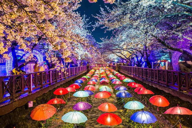 TP.HCM lọt tốp những địa điểm cho người thích đi du lịch một mình ảnh 11