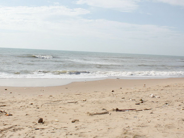 Xử lý vi phạm trong dự án nhận chìm 1 triệu m3 bùn xuống biển ảnh 1