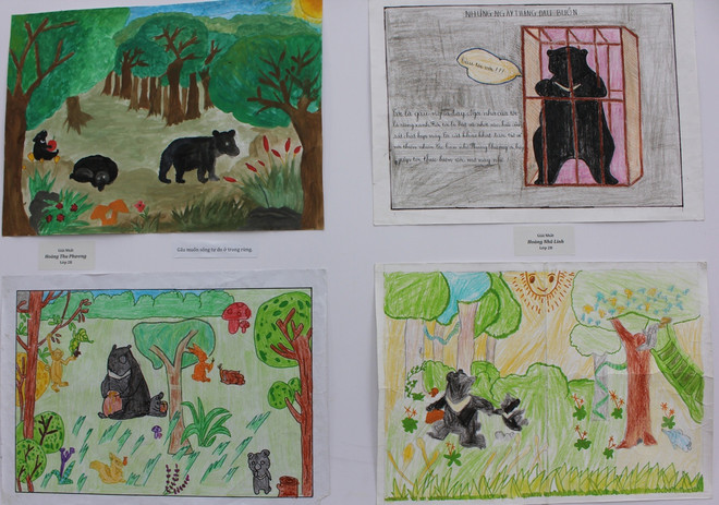 100 học sinh đạt giải cuộc thi vẽ tranh bảo vệ gấu quý ở Hà Nội ảnh 2