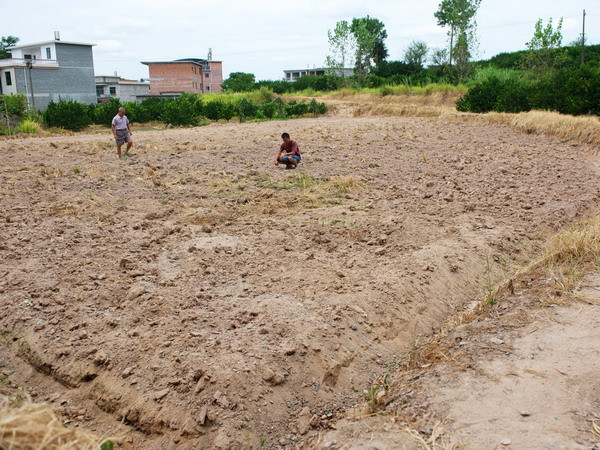 Hạn hán ở Tây Ban Nha nghiêm trọng nhất trong 150 năm ảnh 1