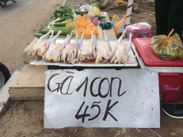 Thành phố Hồ Chí Minh: Cần có giải pháp kiểm soát gà “siêu rẻ” ảnh 1