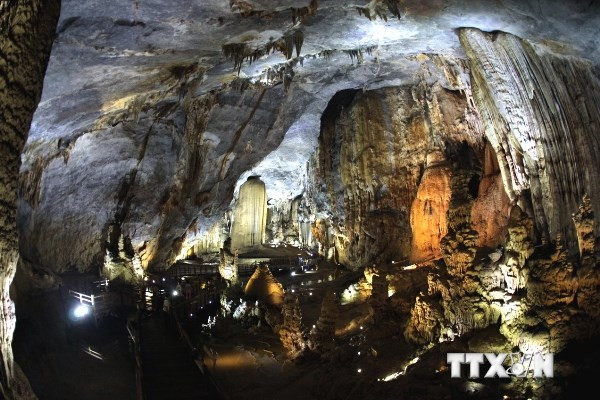 Dự án cáp treo Phong Nha-Kẻ Bàng: Có nên đánh đổi tài nguyên? ảnh 1