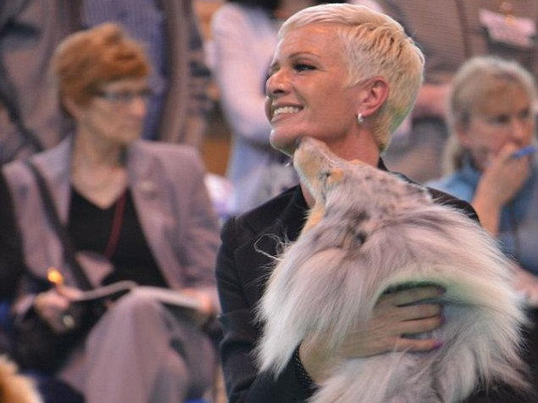 Nghi vấn 6 chú chó bị đầu độc tại cuộc thi chó quốc tế ở Anh ảnh 2