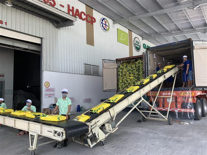 Xuất nhập khẩu khu vực kinh tế trong nước tiếp tục là điểm sáng ảnh 1