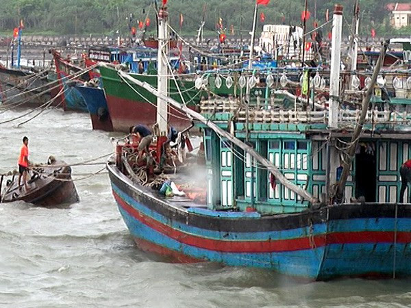 Thành lập các đoàn kiểm tra xuống địa phương ứng phó với bão số 3 ảnh 1