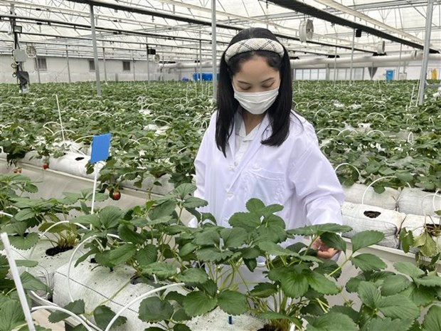 Tìm lời giải cho bài toán về thu hút và giữ chân nhân tài ảnh 3