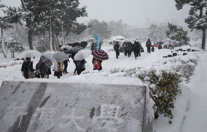 Nhật Bản: Tuyết rơi dày gần 2,5m, đã có hơn 300 người thương vong ảnh 1