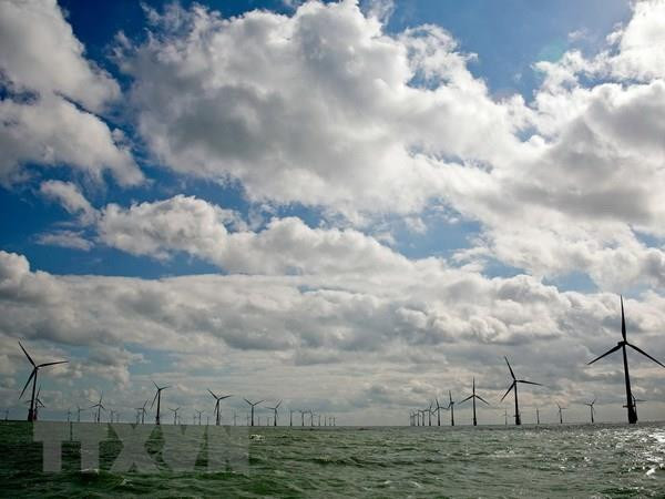 IEA kêu gọi thế giới đầu tư "xanh" trong lĩnh vực năng lượng ảnh 1